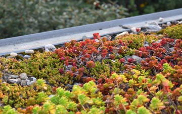 the cost of Skyfog green roof installation