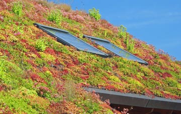 Skyfog living roof systems