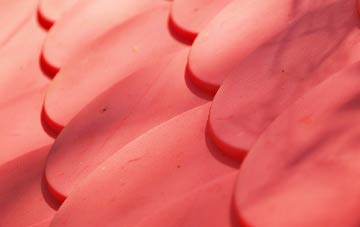 Skyfog plastic roof costs