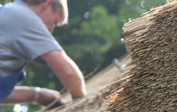 professional Skyfog thatchers