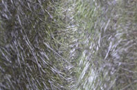 Skyfog fibreglass roof work