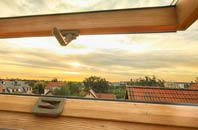 rated Skyfog roof window companies